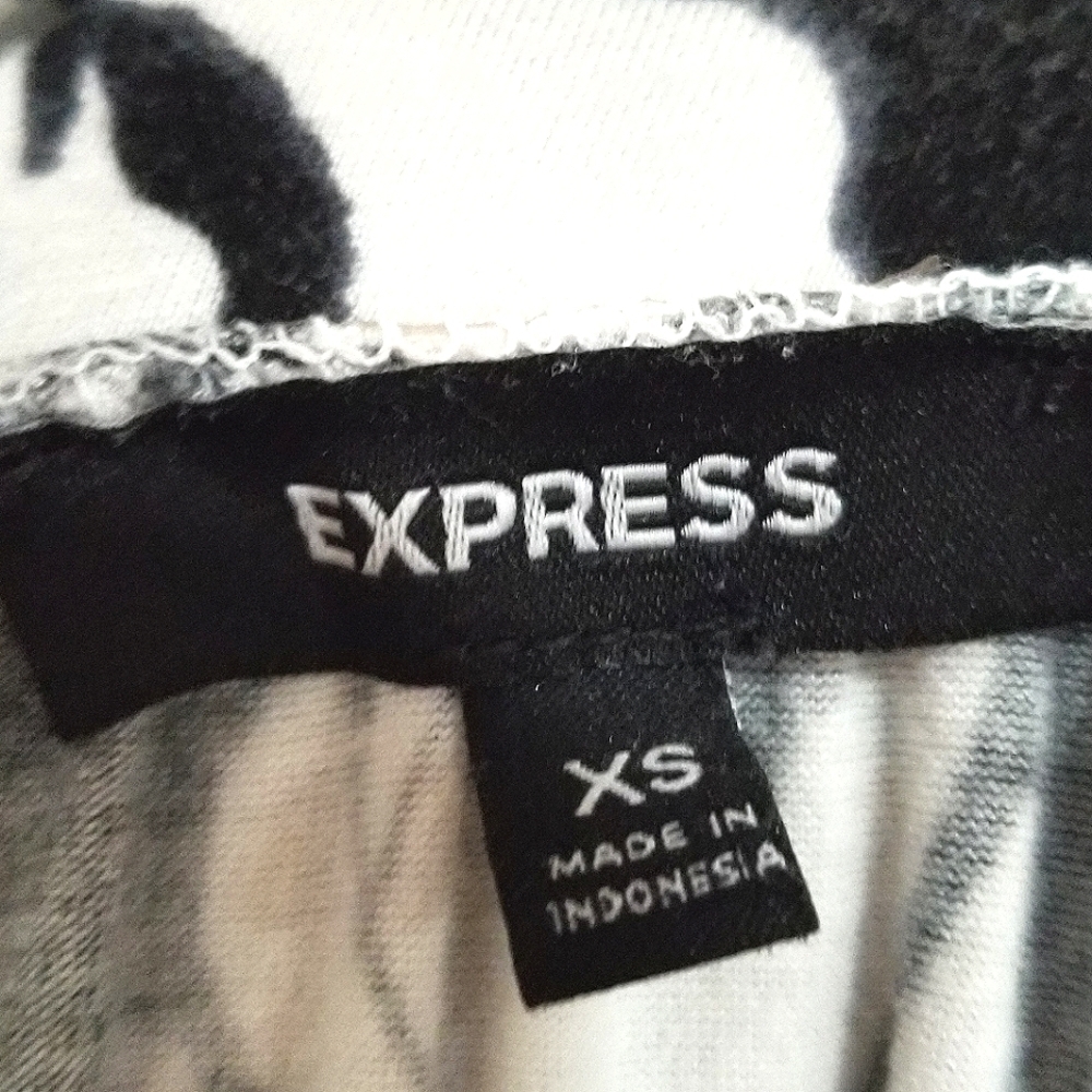Express Dress - Picture 2 of 3